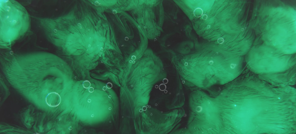 algen verwijderen jacuzzi